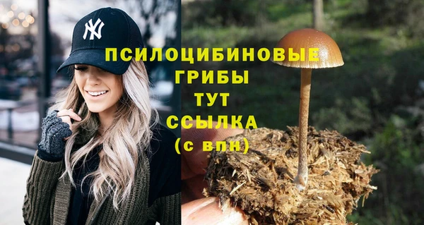 метадон Аркадак