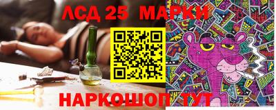 шишки Заводоуковск