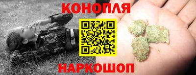 шишки Заводоуковск