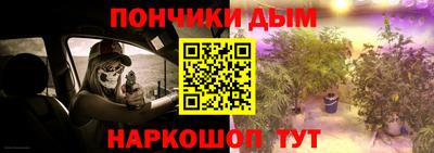 шишки Заводоуковск