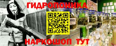 шишки Заводоуковск