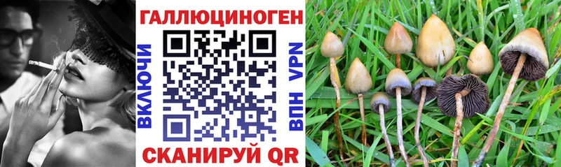 блэк спрут   это состав  Галлюциногенные грибы Psilocybine cubensis  что такое наркотик  Мичуринск 