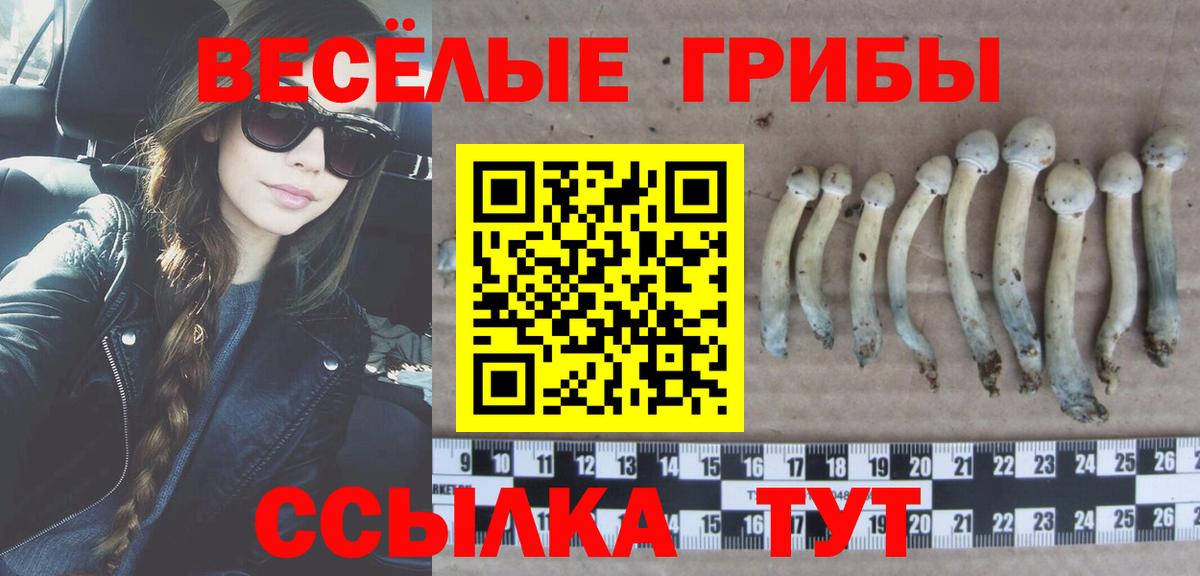 продажа наркотиков  Псилоцибиновые грибы Magic Shrooms  Вход с VPN  Мичуринск  Псилоцибиновые грибы мицелий 
