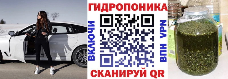 Конопля White Widow  цены   гидра зеркало  Мичуринск 